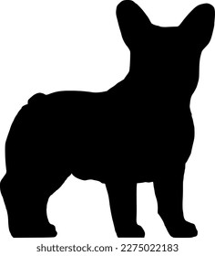 Silhouette: French bulldog side view