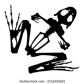 silhouette of a frog skeleton top view vector illustration