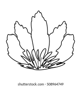 silhouette front view flower with sepal