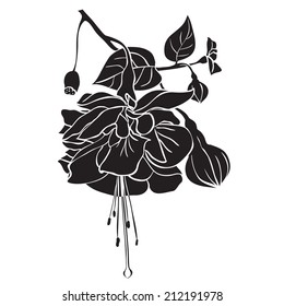 Silhouette Fuchsia branch, hand drawn, ink style