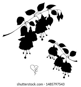 Silhouette of fuchsia flowers. Card for congratulations, invitations. Vector illustration.