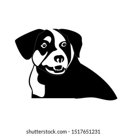 Silhouette of funny playful little black and white puppy border collie. The dog stands and raised his ears. herding dog
