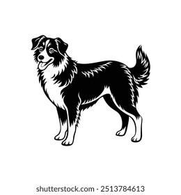 Silhouette of furry Australian shepherd dog vector clipart design