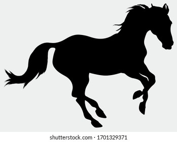 Silhouette of a galloping horse. Stallion excitedly pulled his ears back and moving at a fast pace.