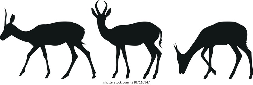 african gazelle silhouette