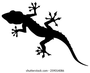 silhouette of gecko