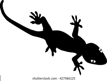 Silhouette of a gecko