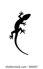 Silhouette of a gecko