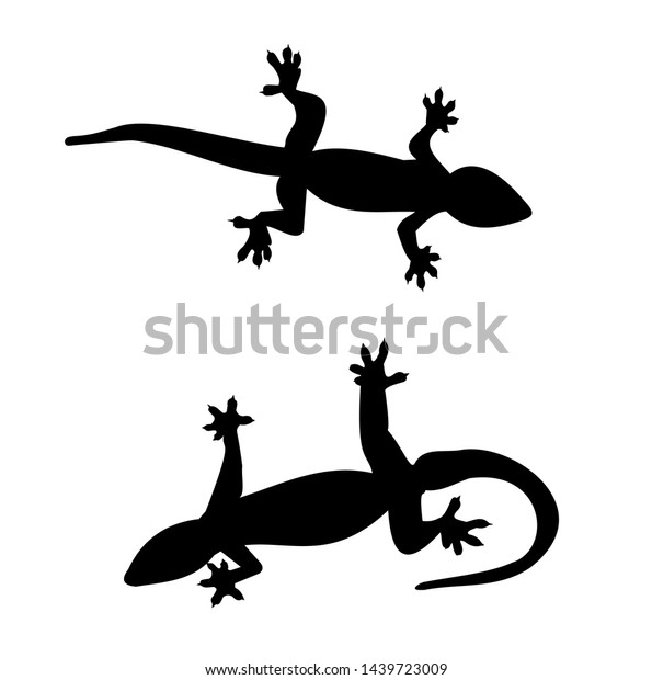 Silhouette Gecko Curved Tail On White Stock Vector (Royalty Free ...