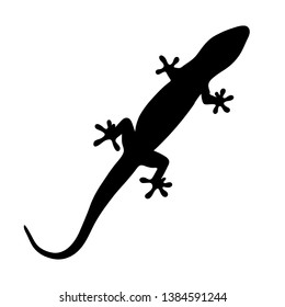 silhouette of gecko, lizard on white background. vector illustration 
