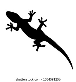 silhouette of gecko, lizard on white background. vector illustration 