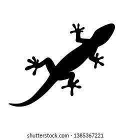 silhouette of gecko, lizard on white background. vector illustration 