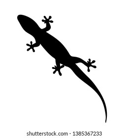 silhouette of gecko, lizard on white background. vector illustration 