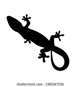 silhouette of gecko, lizard on white background. vector illustration 