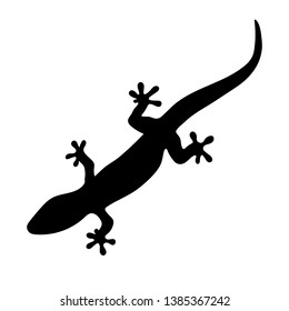 silhouette of gecko, lizard on white background. vector illustration 