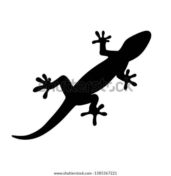 Silhouette Gecko Lizard On White Background Stock Vector (Royalty Free ...