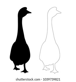  silhouette of geese and ducks
