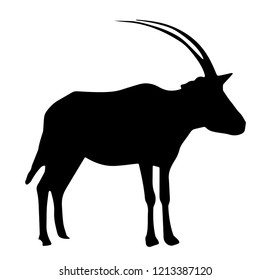 Silhouette Of A Gemsbok Isolated On White Background