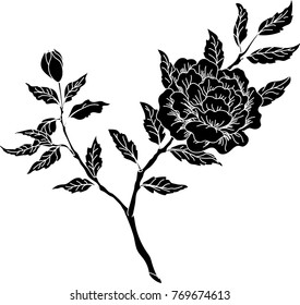 silhouette of a gentle branch of a rose
