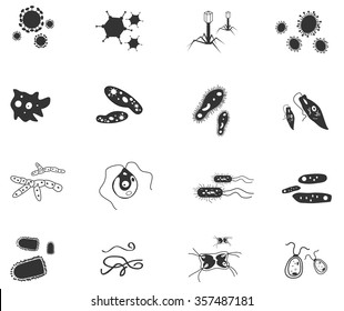 Silhouette germ and pathogen for human disease icon such as virus, bacteria, fungus, amoeba, Protozoa, worm and parasite germ set 2. Create by vector for education.