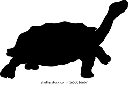 Silhouette of a giant Galapagos Tortoise stretching its neck out of its shell. Vector illustration.