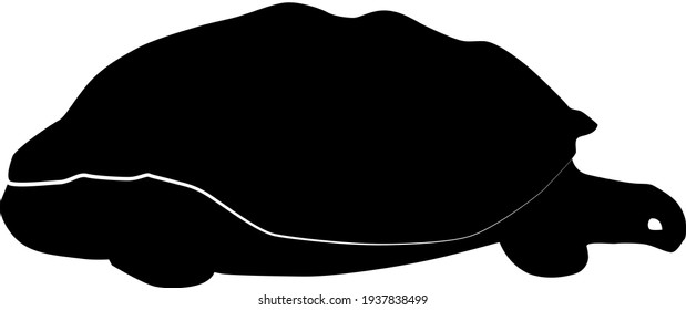 Silhouette of a giant Galapagos Tortoise. Vector illustration.