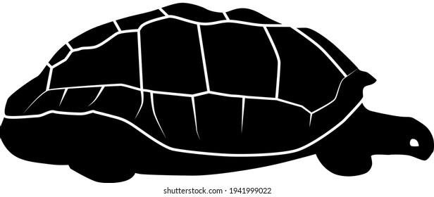 Silhouette of a giant Galapagos Tortoise. Vector illustration.