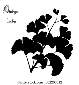 Silhouette ginkgo brunch