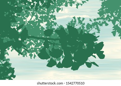 Silhouette Of Ginkgo Tree. Vector Illustration.