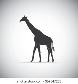 Silhouette of a giraffe 