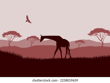 Silhouette of a giraffe in the African savannah, vector illustration for background design.