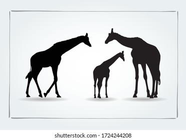 silhouette of Giraffe with baby Giraffe , animal vector , family Giraffe 