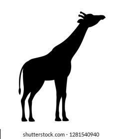 Silhouette giraffe black icon isolated white background vector eps 10