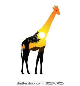  Silhouette of giraffe with exotic landscape. Silhouette of palm. Sunset.Orange shades.