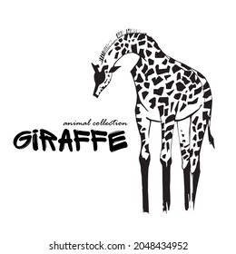 Silhouette of a giraffe. The head and body of a giraffe. Wild animal sketch. Zoo animal. An animal from Africa. Ink drawing