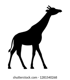 Silhouette giraffe icon isolated white background side view profile vector eps 10