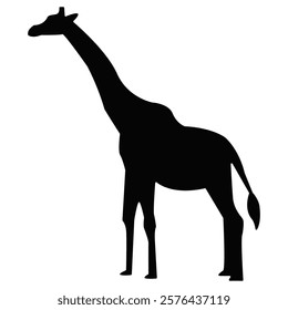 silhouette giraffe on white background