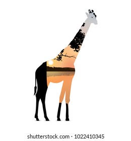 Silhouette of giraffe with  panorama of african landscape. Sunset on lake.