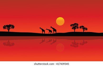 Silhouette of giraffe with red backgrounds with sun at afternoon
