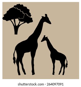silhouette of a giraffe in savannah