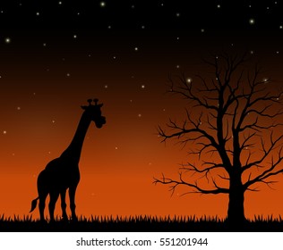 Silhouette of a giraffe standing on the night background