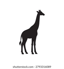 Silhouette of giraffe standing, side view, African animal, long neck mammal, isolated on white, illustration.