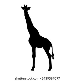 silhouette of a Giraffe vector illustration