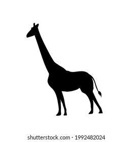 Silhouette giraffe vector illustration good for collection and education