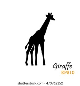 Silhouette of a giraffe. Vector illustration. Symbol, logo.