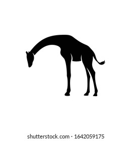 Silhouette Giraffe vector ilustration design with black and white colour