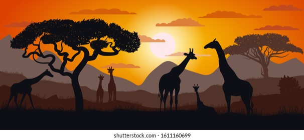 Silhouette of giraffes of the African savannah. Scenery. Africa. Bright vector illustration. Wildlife.