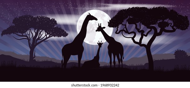 Silhouette of giraffes of the African savannah. Scenery. Africa. Bright vector illustration. Wildlife.