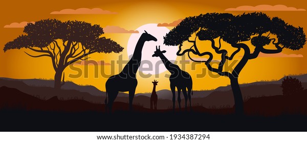 アフリカのサバンナのキリンのシルエット 風景 アフリカ 明るいベクターイラスト 野生生物 のベクター画像素材 ロイヤリティフリー
