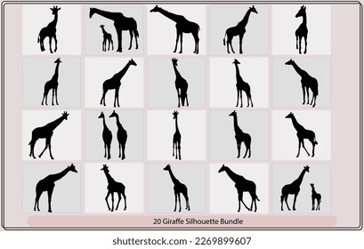 Silhouette of a giraffe,Set of vector silhouettes of giraffes,vector drawing silhouette of a giraffe
